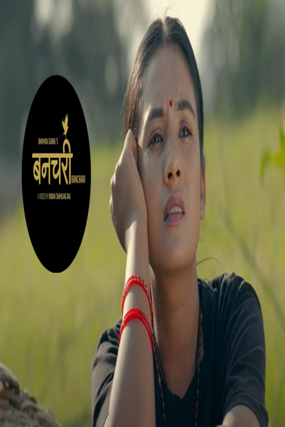 एलिना  चाैहानको ‘वन चरी’ सार्वजनिक